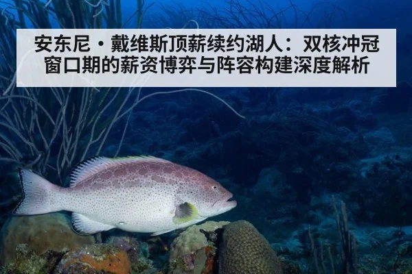 安东尼·戴维斯顶薪续约湖人：双核冲冠窗口期的薪资博弈与阵容构建深度解析